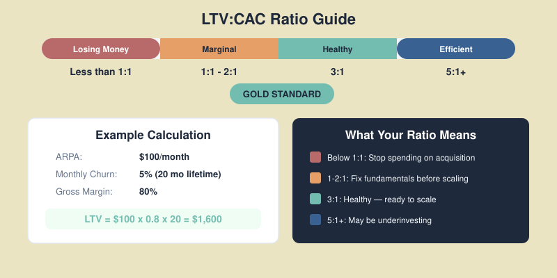 LTV:CAC ratio guide showing scale from losing money to efficient, with 3:1 as gold standard